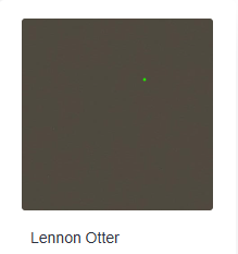 Lennon Otter
